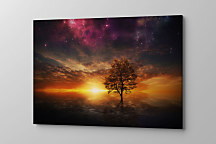 Obraz Strom pod hviezdnou oblohou 1631